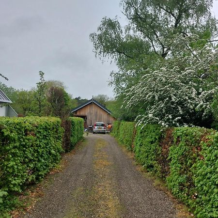 De Barre Hichte Bed & Breakfast Nijeberkoop Dış mekan fotoğraf