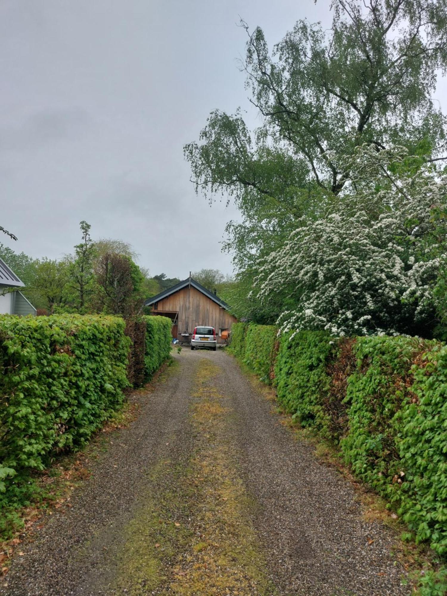 De Barre Hichte Bed & Breakfast Nijeberkoop Dış mekan fotoğraf